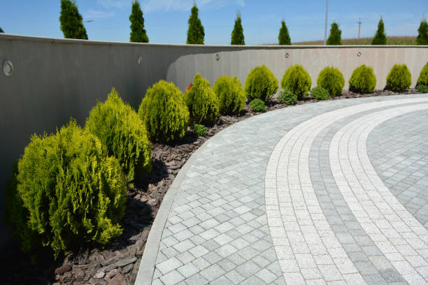 Best Affordable Driveway Pavers  in Lake Elmo, MN